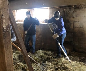 Twincraft employees cleaning out goat barn at Pine Island Community Farm