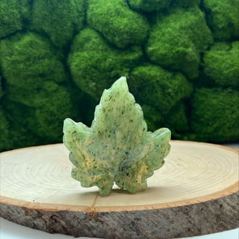 Forest Floor Bar-1