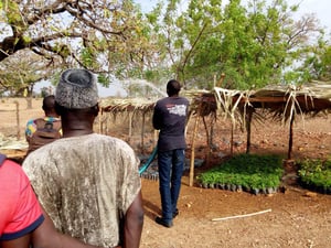 Alaffia Reforestation Project