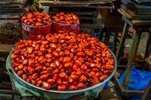 palm oil kernels for sale