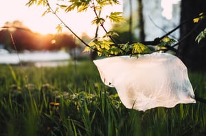 plastic bag with grass