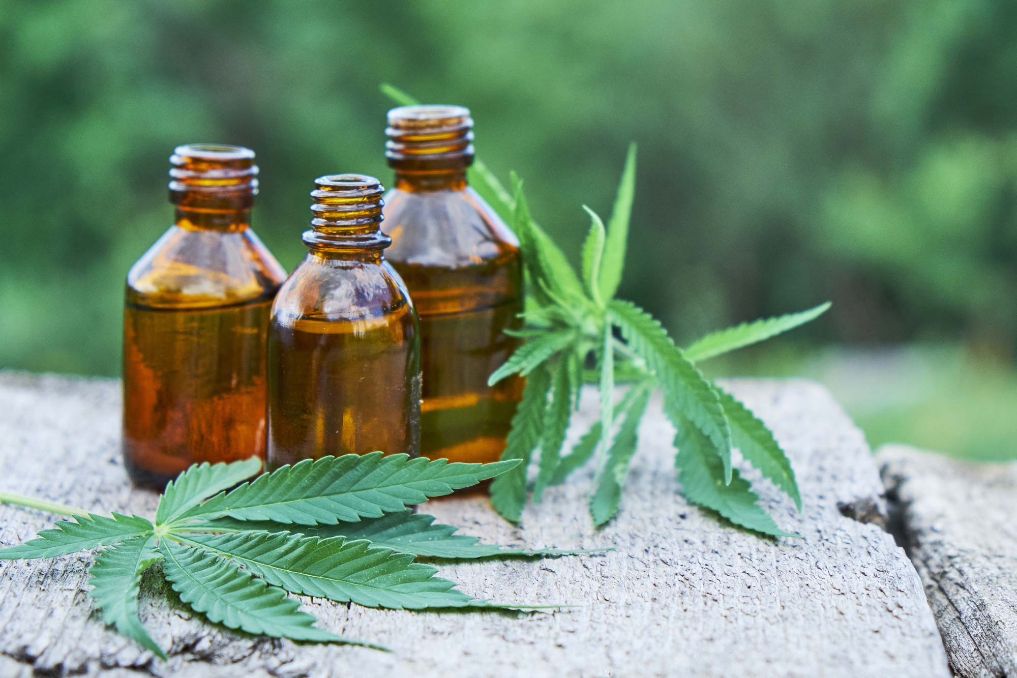 cbd hemp oil in bottles and leaves