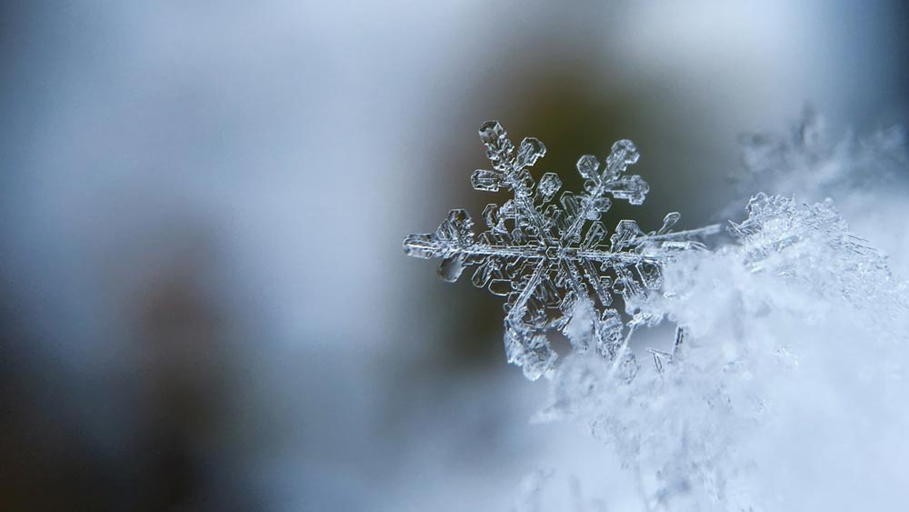 snowflake-macro